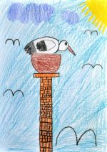 Škadrová Karolína.jpg